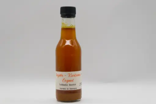 Ingwer-Kurkuma Oxymel
